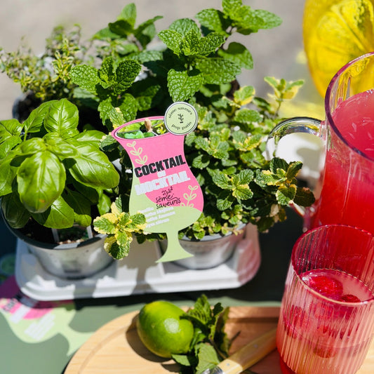Collection Cocktail Festif – Édition 50e anniversaire