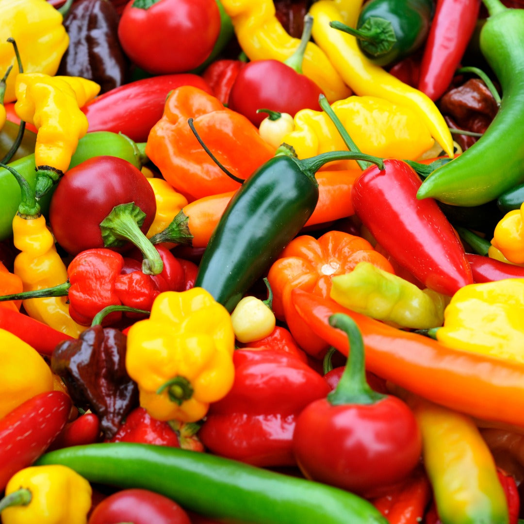 Hot Pepper Collection – Assorted Varieties