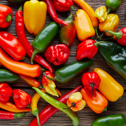 Hot Pepper Collection – Assorted Varieties