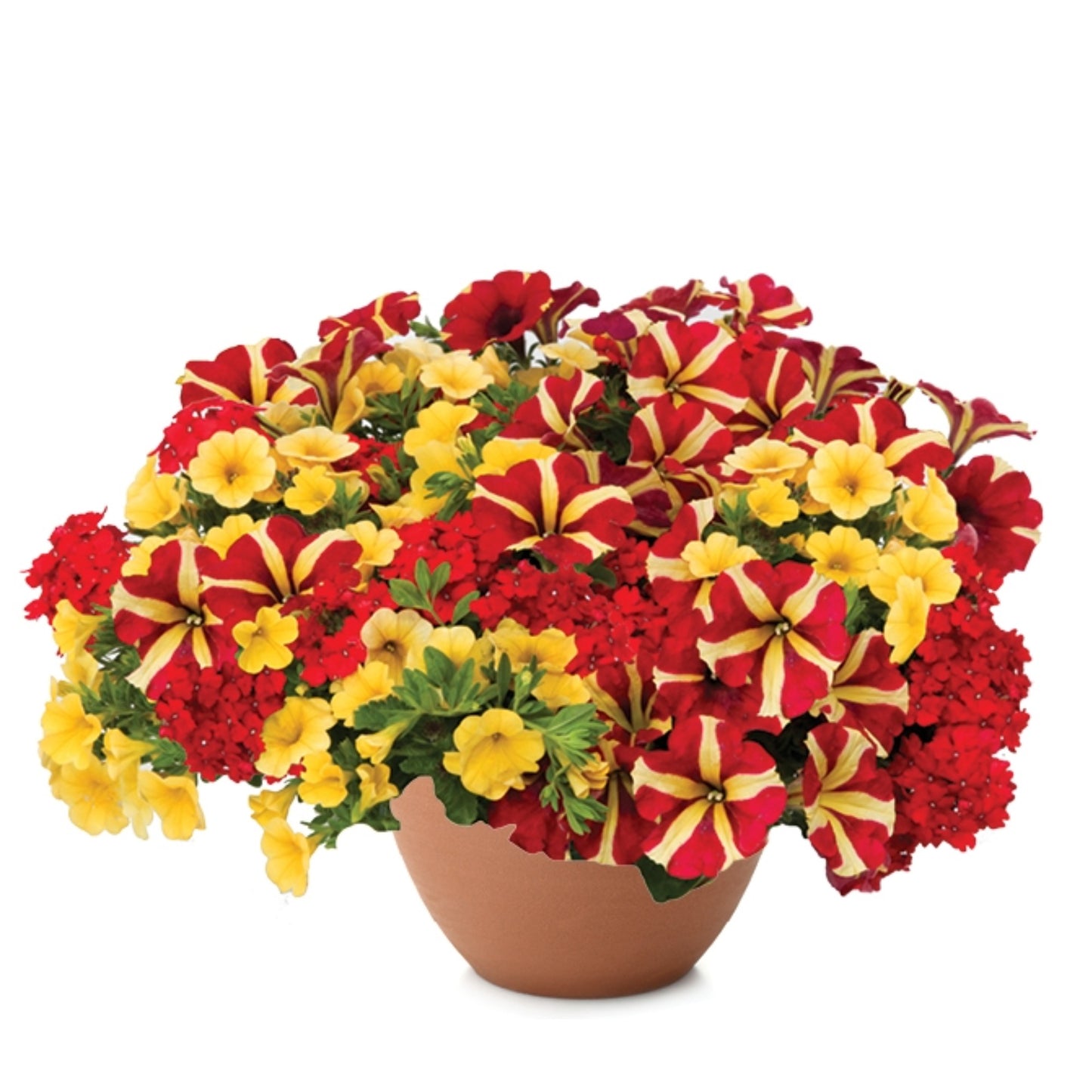Mixed Flower Planters – Trixi® and Durabella® Collections