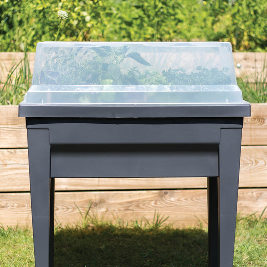 Transparent cover for City vegetable table