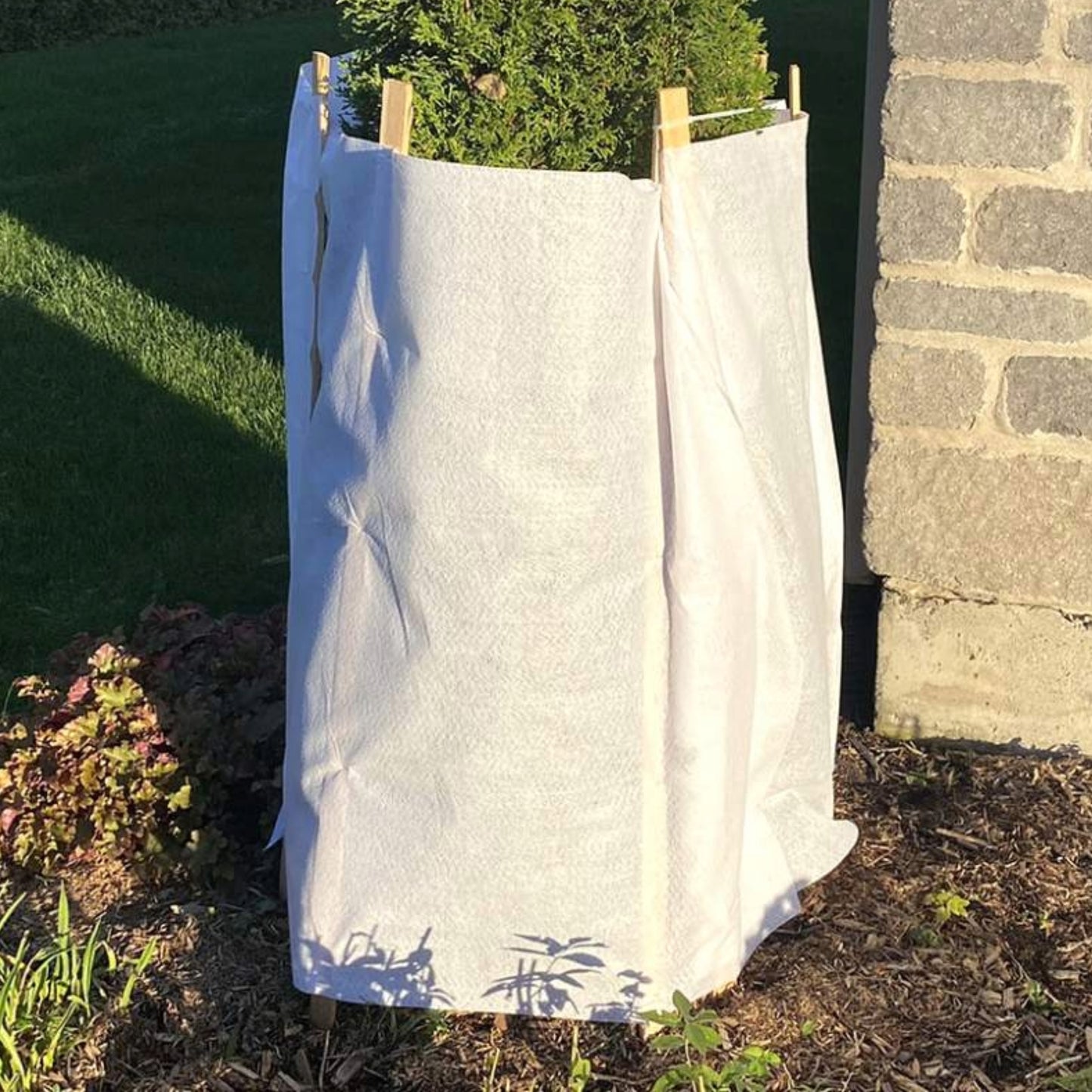 Toile de protection hivernale pour arbres, arbustes et conifères