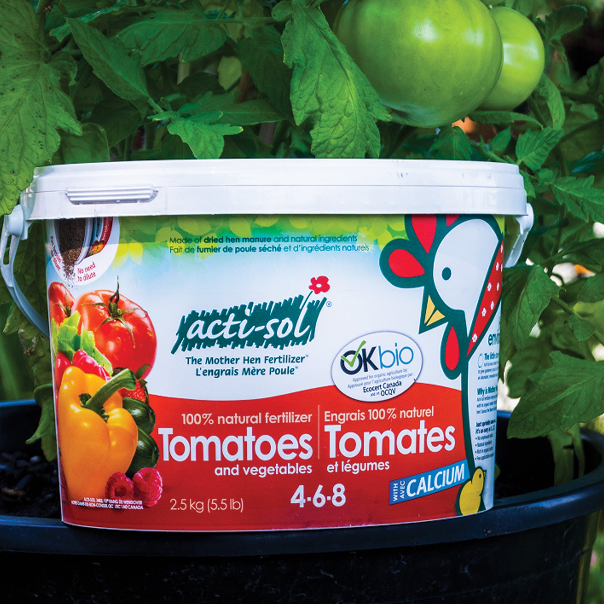 natural fertilizer for tomato plants 100% Natural Tomato and vegetable fertilizer 4-6-8 – Jardineries Botanix