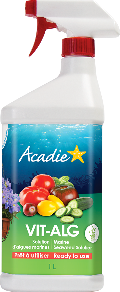 Ready-to-use fresh algae fertilizer Acadie 100% natural