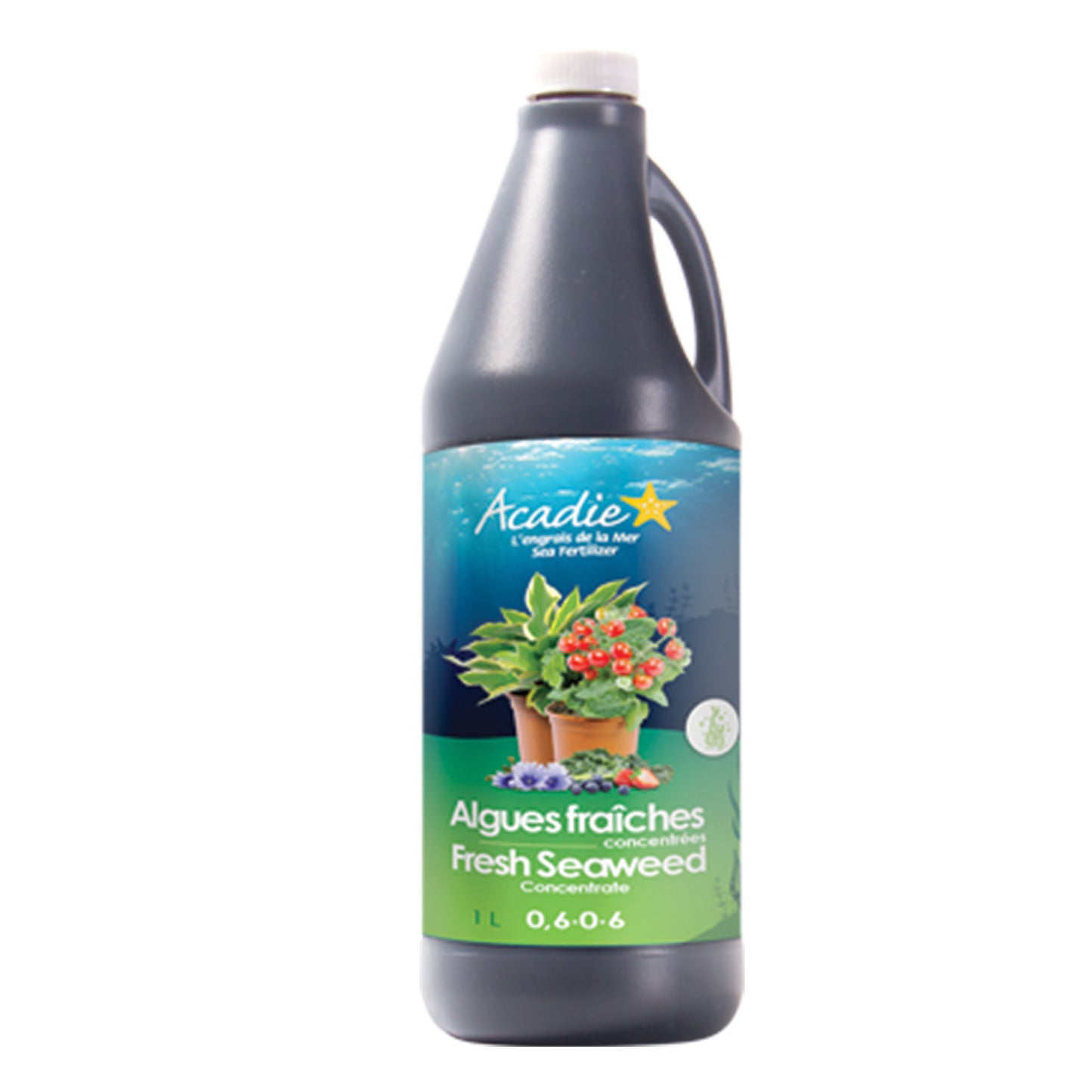 Concentrated fresh algae fertilizer 0.6-0-6 Acadie 100% natural