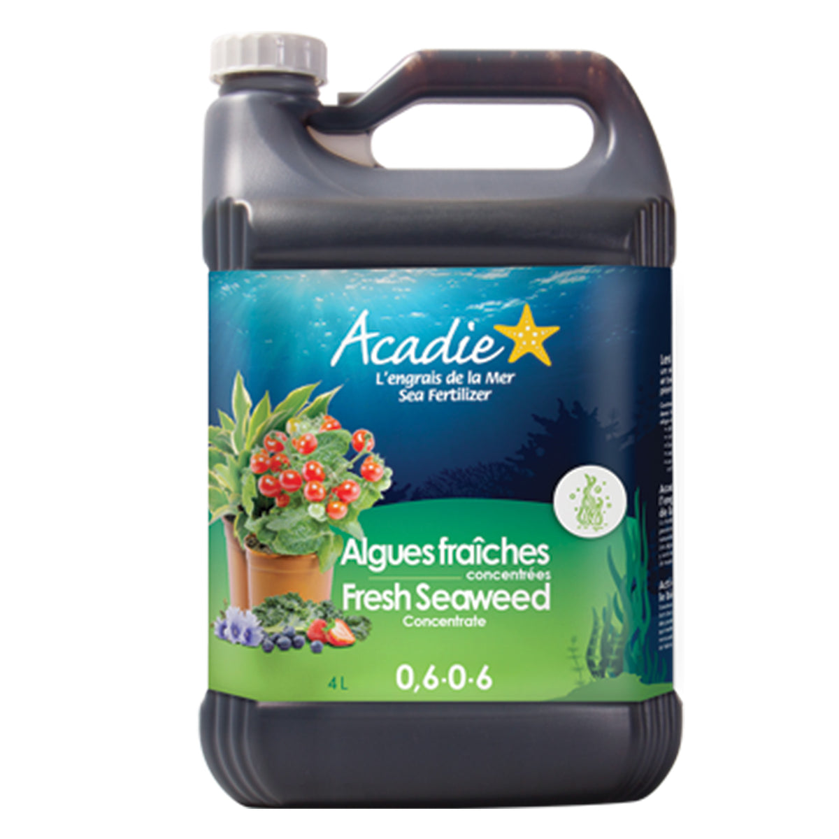Neudorff Azet Engrais Tomates 250 Ml - Engrais 100% Naturel Bio Pour Tomates Aromatiques, Légumes En Pot, Jardinière Et Jardin - Récolte Abondante