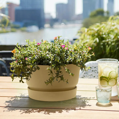 Greenville Bowl by elho – Modern Planter with Water Reservoir
