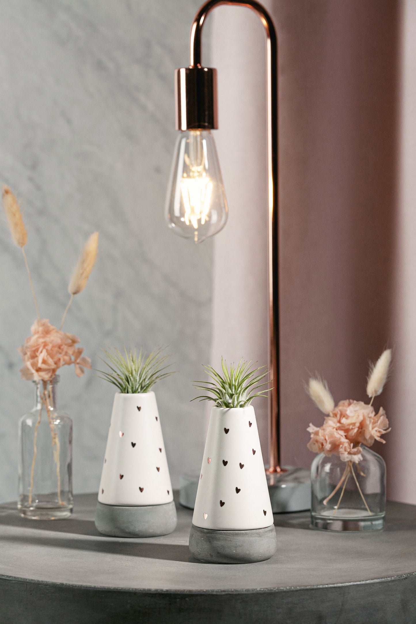Vase décoratif avec Tillandsia Amore - Live Trends