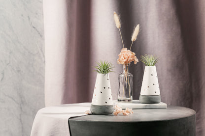Decorative vase with Tillandsia Amore - Live Trends