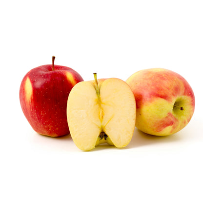 'Ambrosia' Apple Tree - Malus domestica 'Ambrosia'