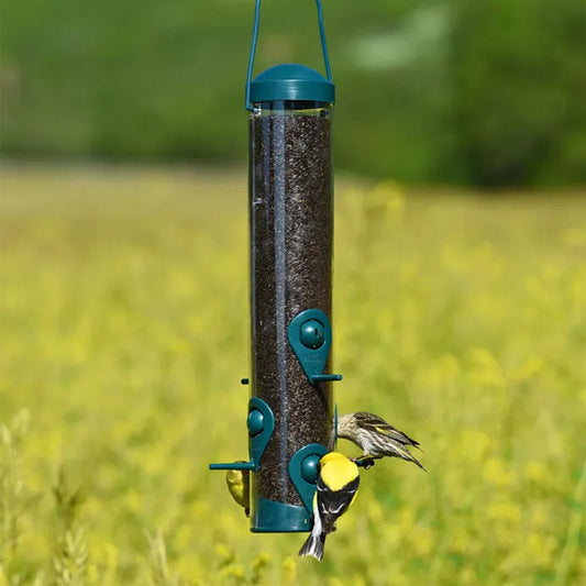 Green 2-in-1 wild bird feeder