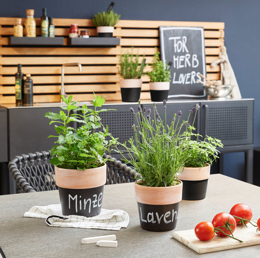 Mini indoor plant pot cover - Lissabon chalkboard terracotta Series