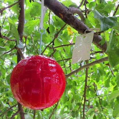 Piège Bioprotec POM – Protection écologique contre la mouche de la pomme