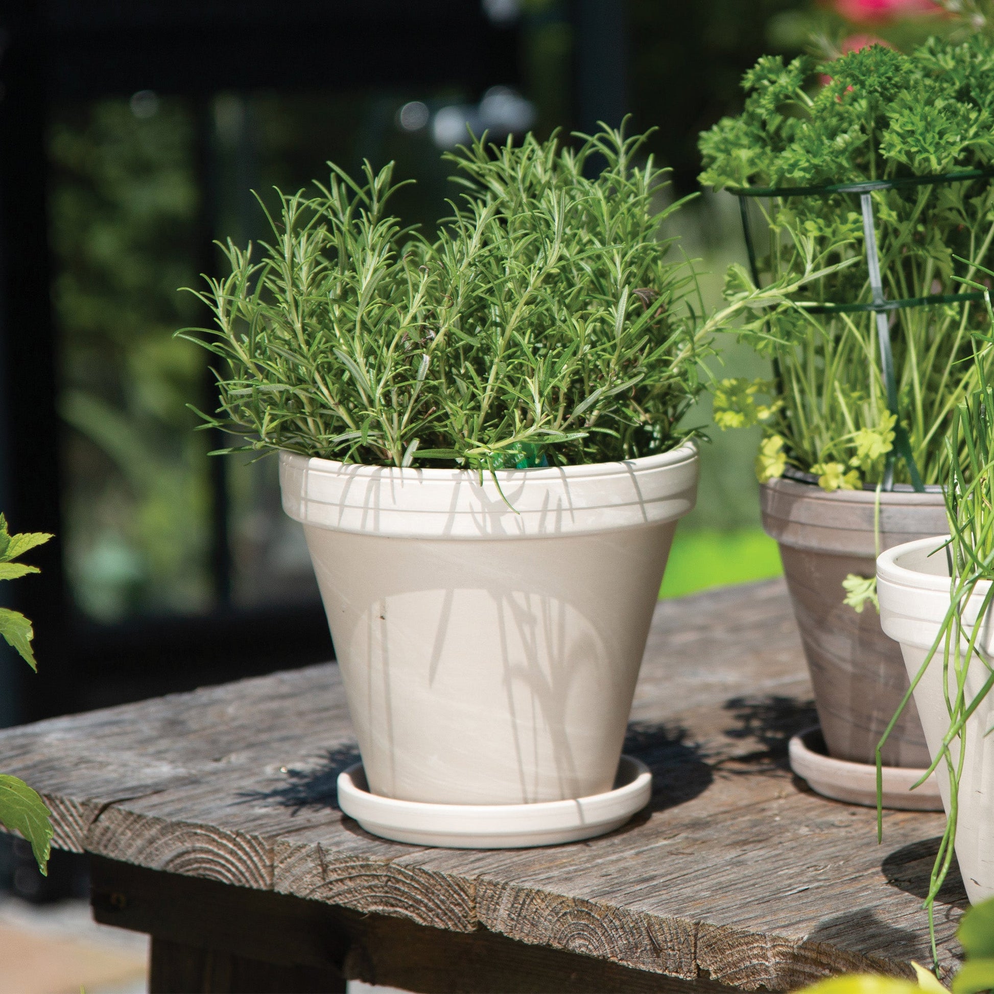 pot pour plante Standard white granite terracotta pot – Jardineries Botanix