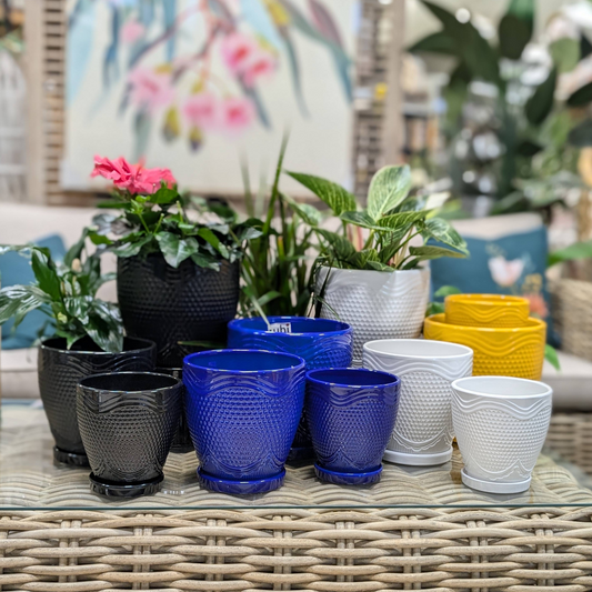 Ruby Collection - Ceramic Planter with Saucer