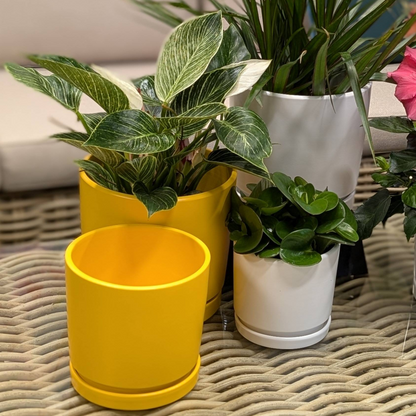 Collection Ruby - Cache-pot en céramique avec soucoupe