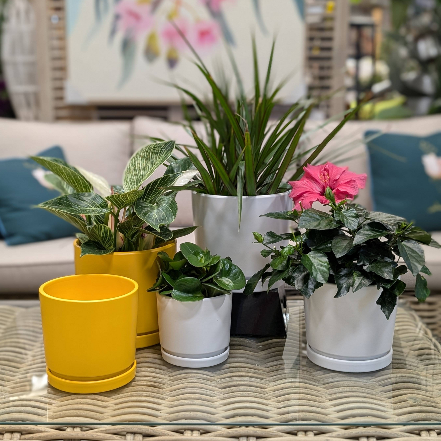 Collection Ruby - Cache-pot en céramique avec soucoupe