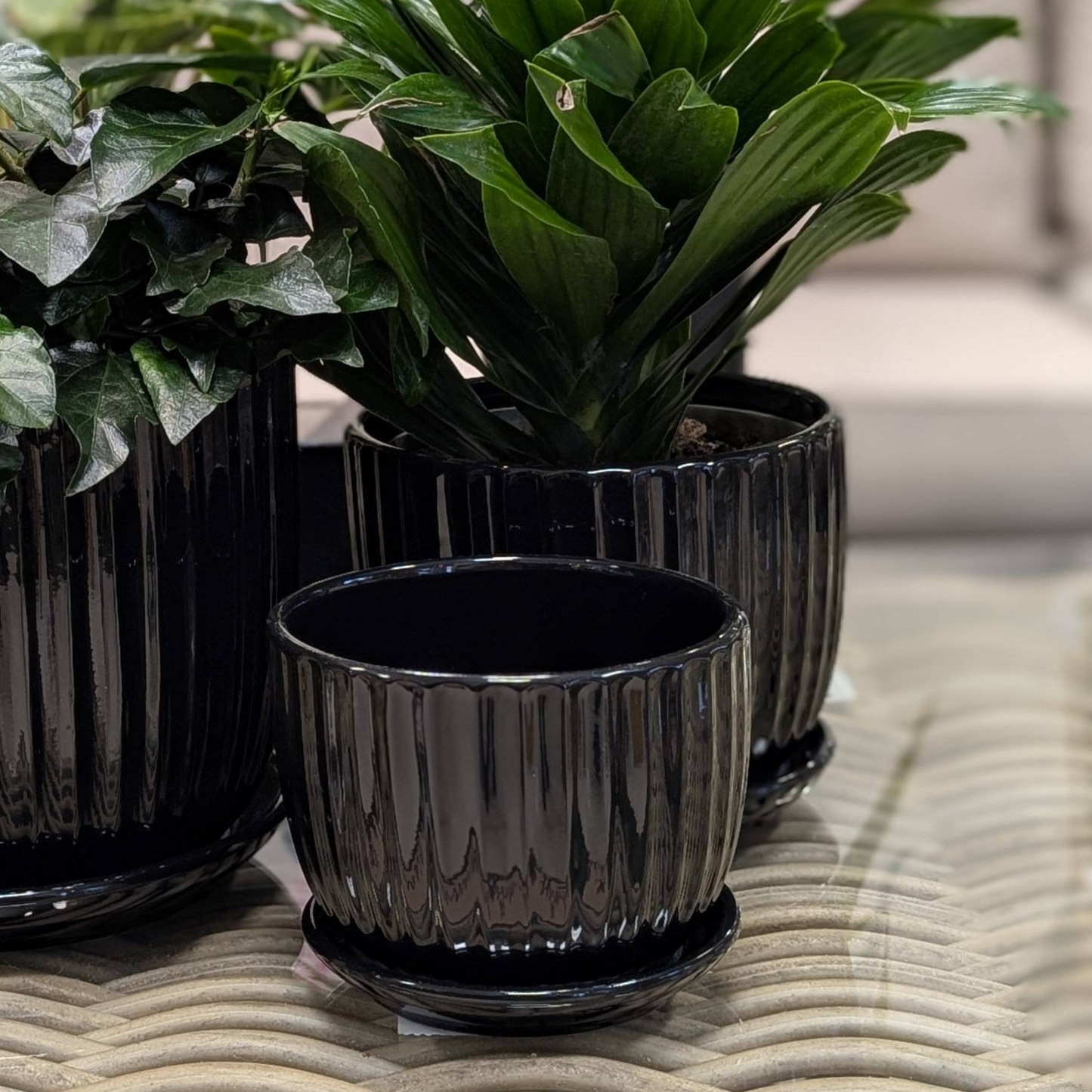 Collection Ruby - Cache-pot en céramique avec soucoupe