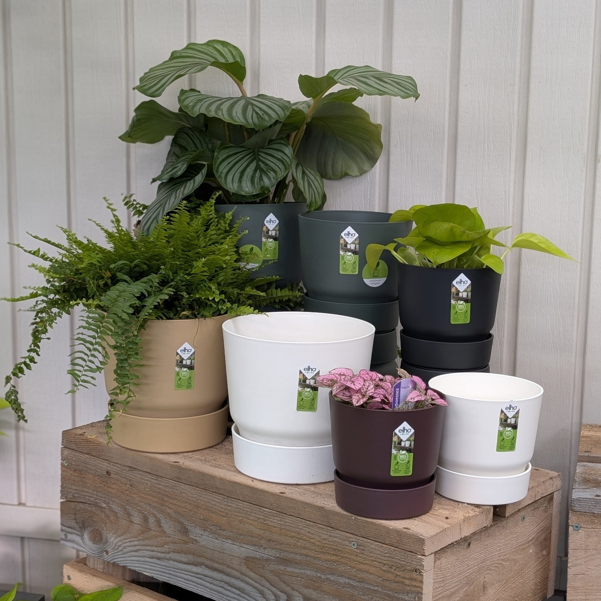 elho plant pots Greenville Pots by elho: Sustainable and Smart Design