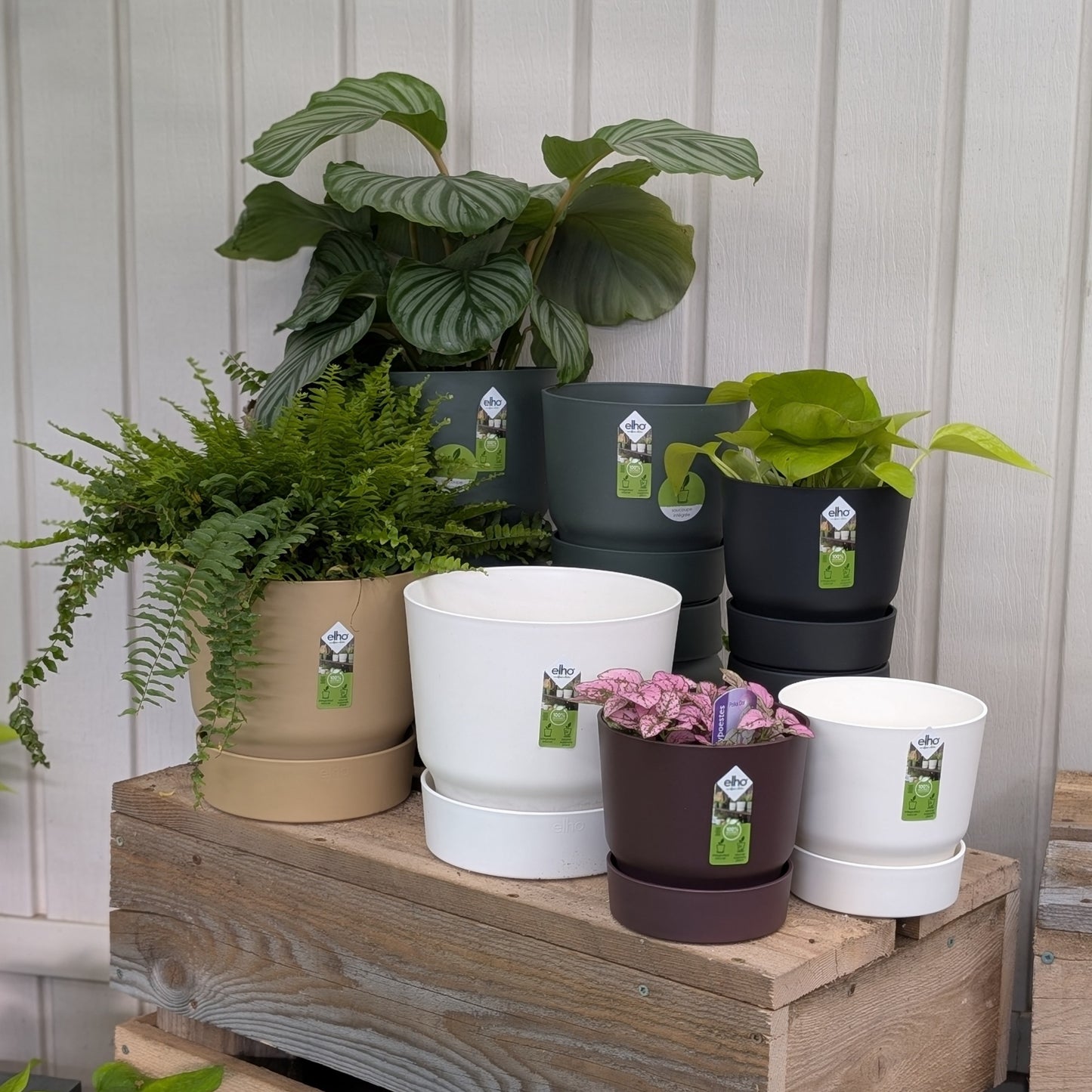 Greenville Collection – Eco-friendly Indoor & Outdoor Pot