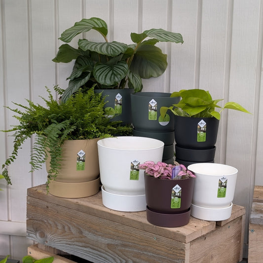 Collection Greenville – Pot écoresponsable avec réservoir d’eau