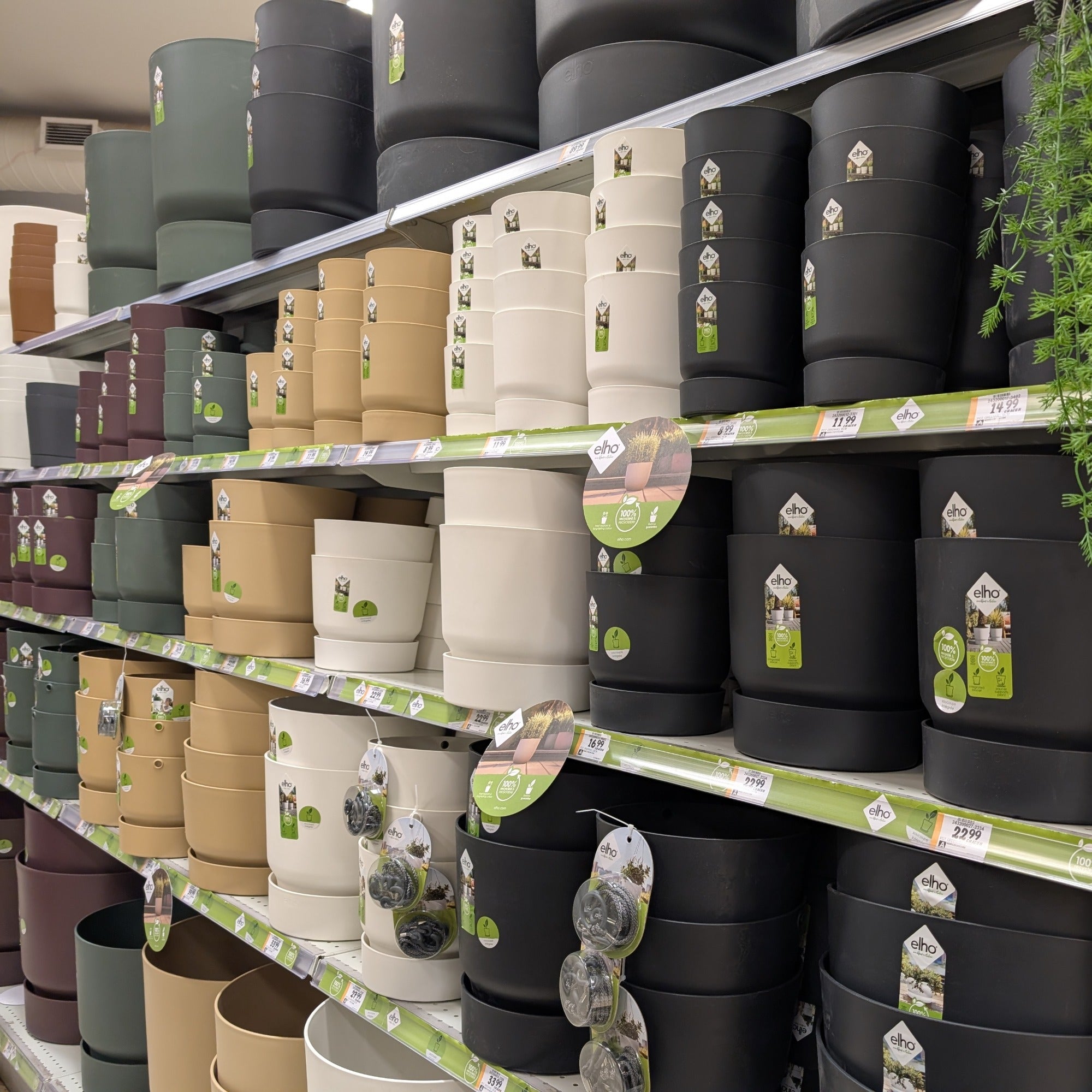 Greenville Pots by elho: Sustainable and Smart Design | Botanix