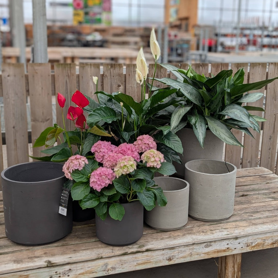Chicago Collection by GIOJARDIN – Modern Fibre Cement Pot