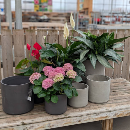 Chicago Collection by GIOJARDIN – Modern Fibre Cement Pot