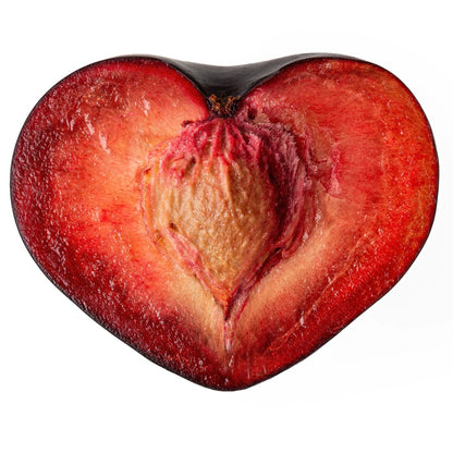 'Elephant Heart' Plum - Prunus salicina 'Elephant Heart'