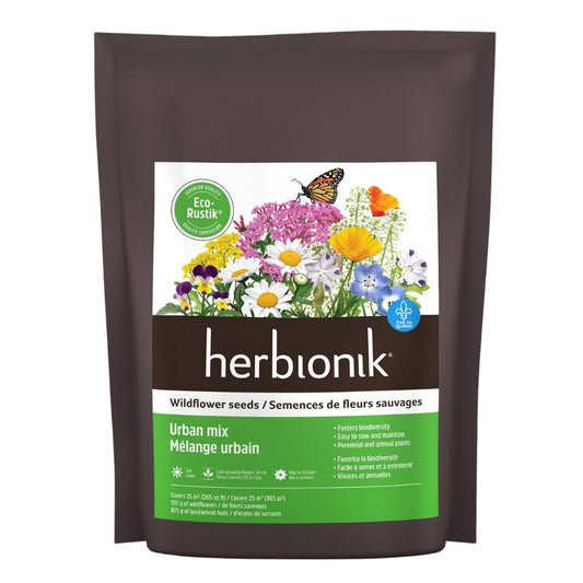 Herbionik Wildflower seeds Urban mix
