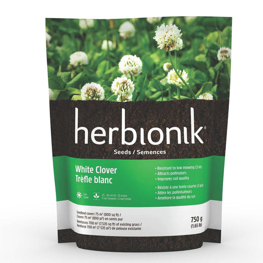 Herbionik White clover seed
