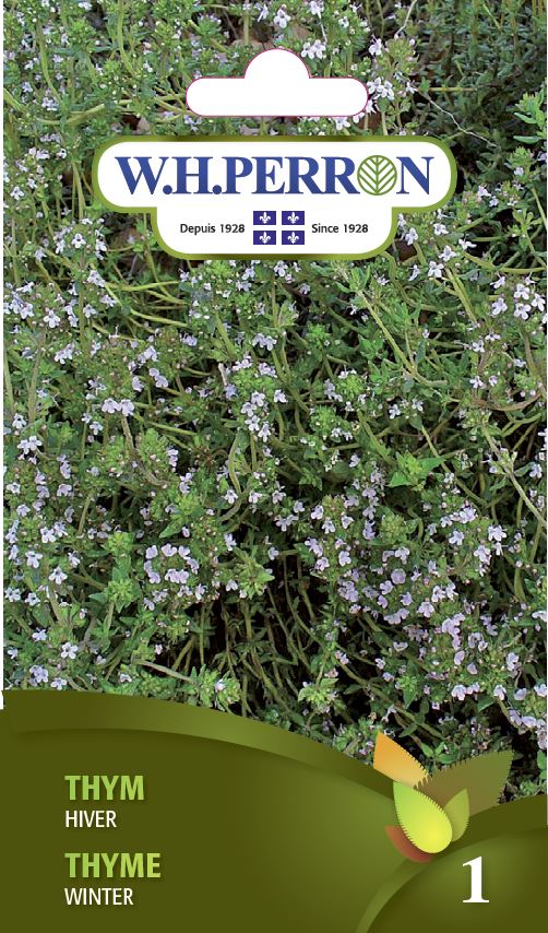 Thyme 'Winter' - Seeds