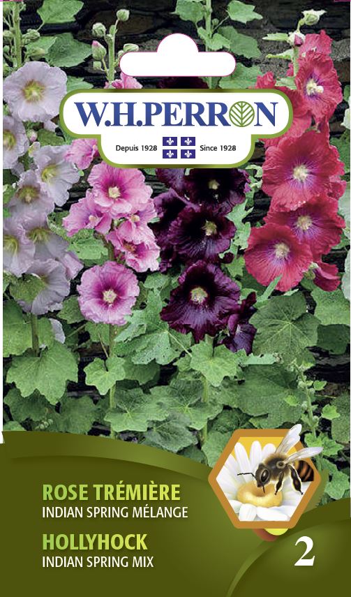 Rose trémière 'Indian Spring Mélange' Semences Jardineries Botanix — free download