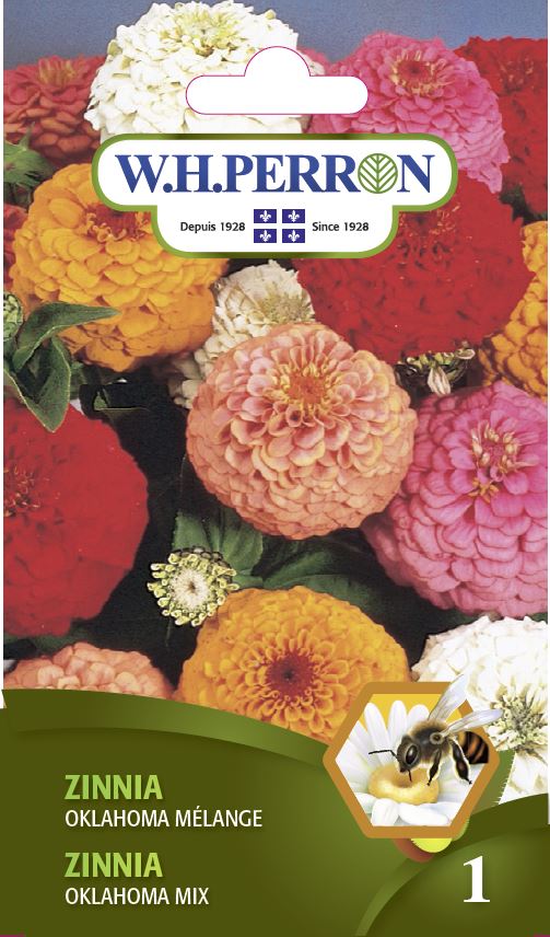 Zinnia 'Oklahoma Mélange' - Semences