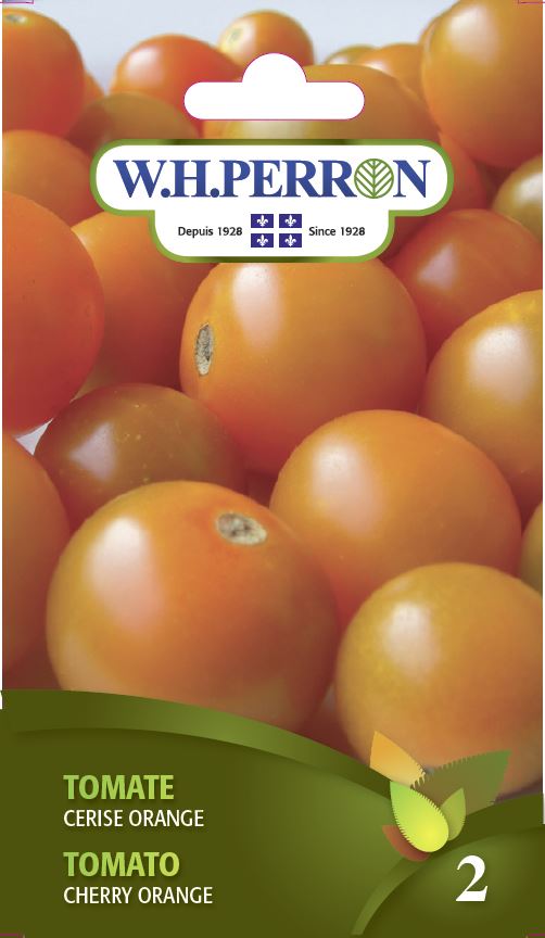 Tomate 'Cerise Orange' - Semences