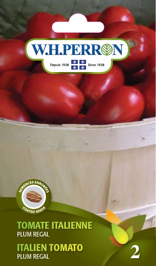 Tomate italienne 'Plum Regal' - Semences