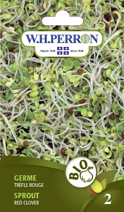 Sprout 'Red Clover' - Seeds