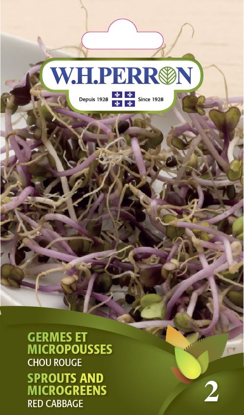 Sprouts and microgreens 'Red Cabbage' - Seeds