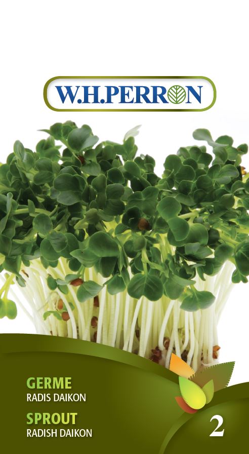 Sprouts and microgreens 'Radish Daikon' - Seeds
