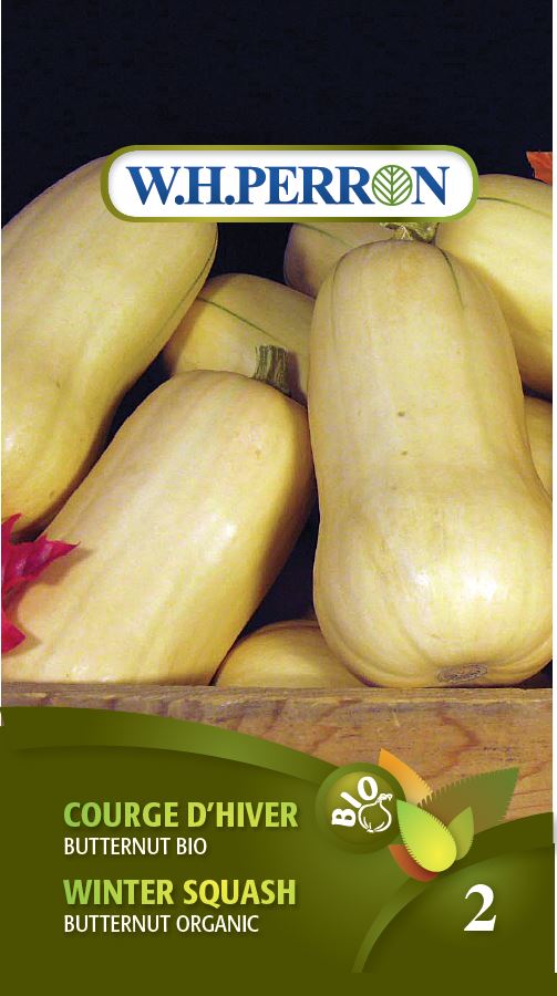 Courge d'hiver 'Butternut' - Semences