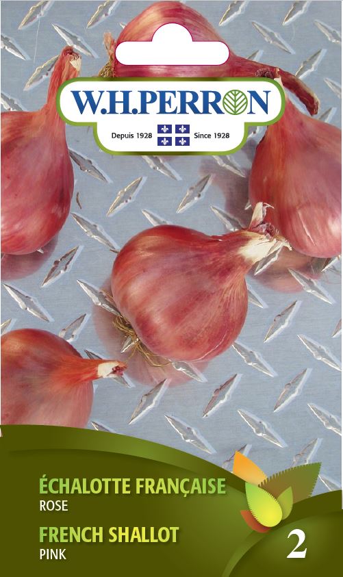 French shallot 'Pink' - Seeds