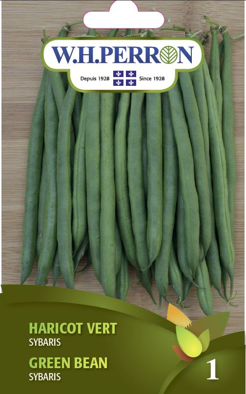 Green bean 'Sybaris' - Seeds