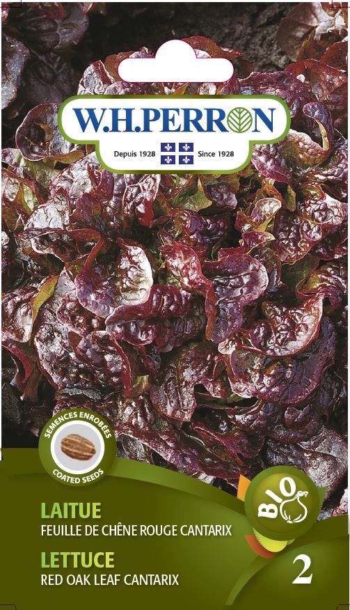 Lettuce 'Red Oak Leaf Cantarix' - Seeds