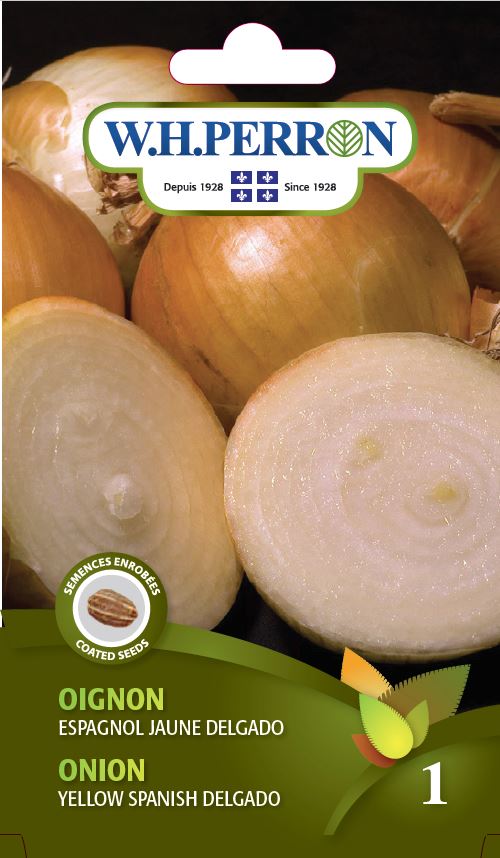 Onion 'Yellow Spanish Delgado' - Seeds