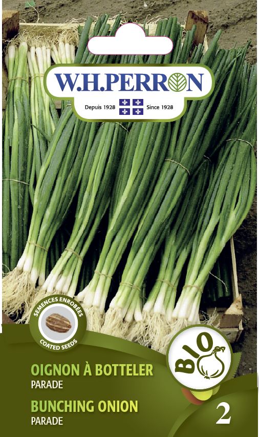 Bunching onion 'Parade' - Seeds