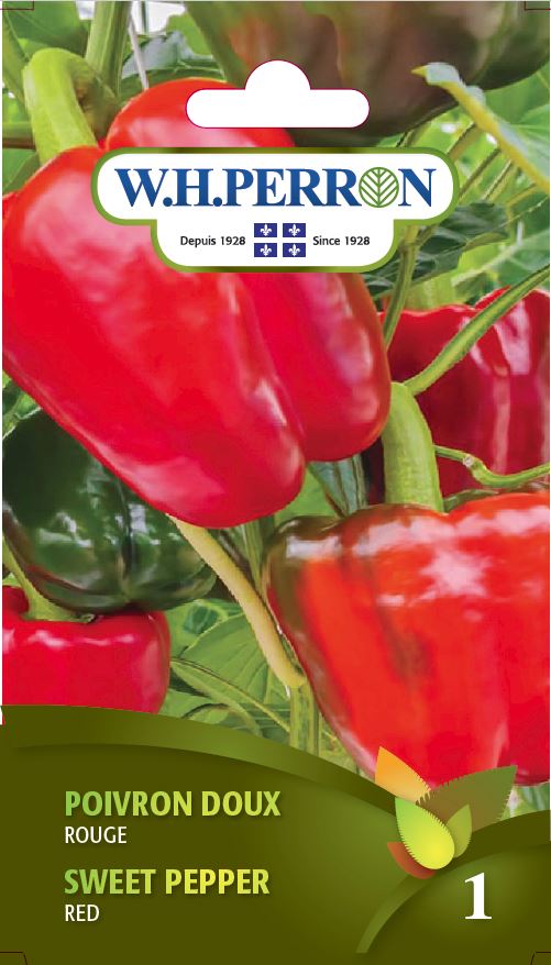 Sweet pepper 'Red' - Seeds