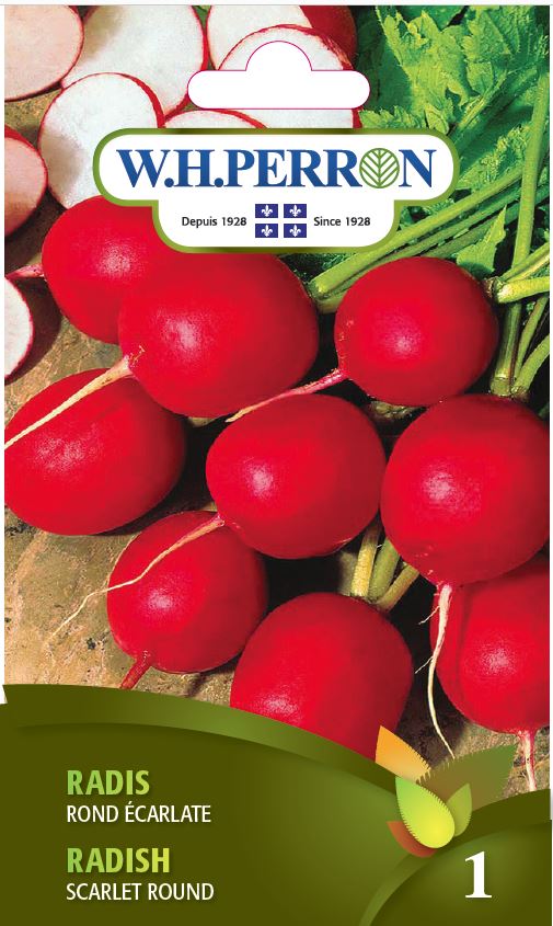 Radish 'Scarlet Round' - Seeds
