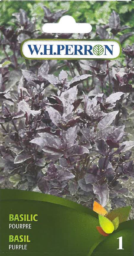 Basil 'Purple' - Seeds