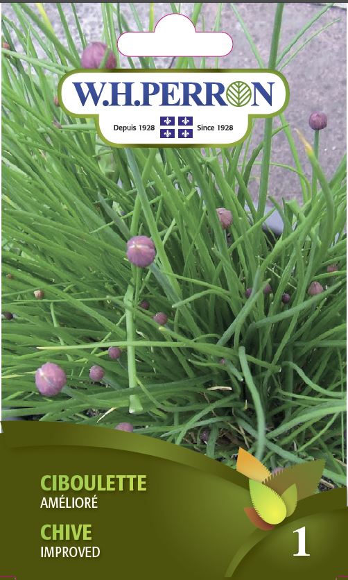 Chive 'Improved' - Seeds