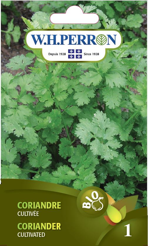 Coriander 'Cultivated' - Seeds
